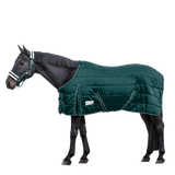 Waldhausen Economic 200g Stable Rug #colour_fir-green