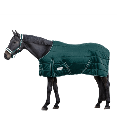 Waldhausen Economic 200g Stable Rug #colour_fir-green