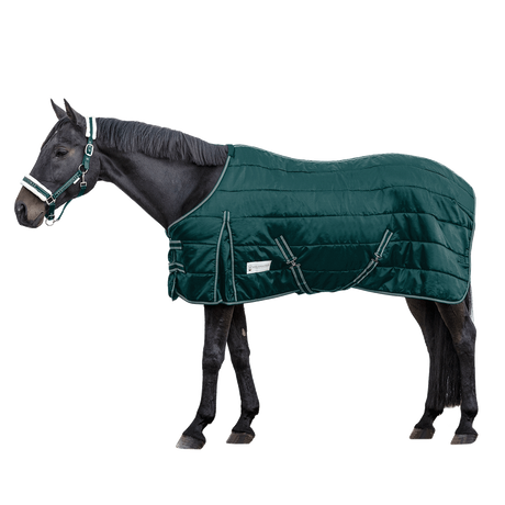 Waldhausen Economic 300g Stable Rug #colour_fir-green