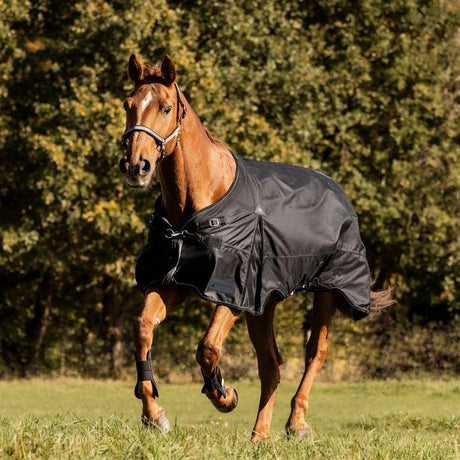 Waldhausen Scandic 100g Turnout Rug #colour_black