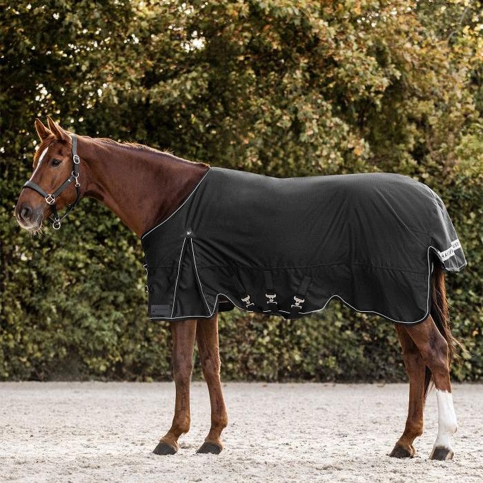 Waldhausen Scandic 300g Turnout Rug #colour_black