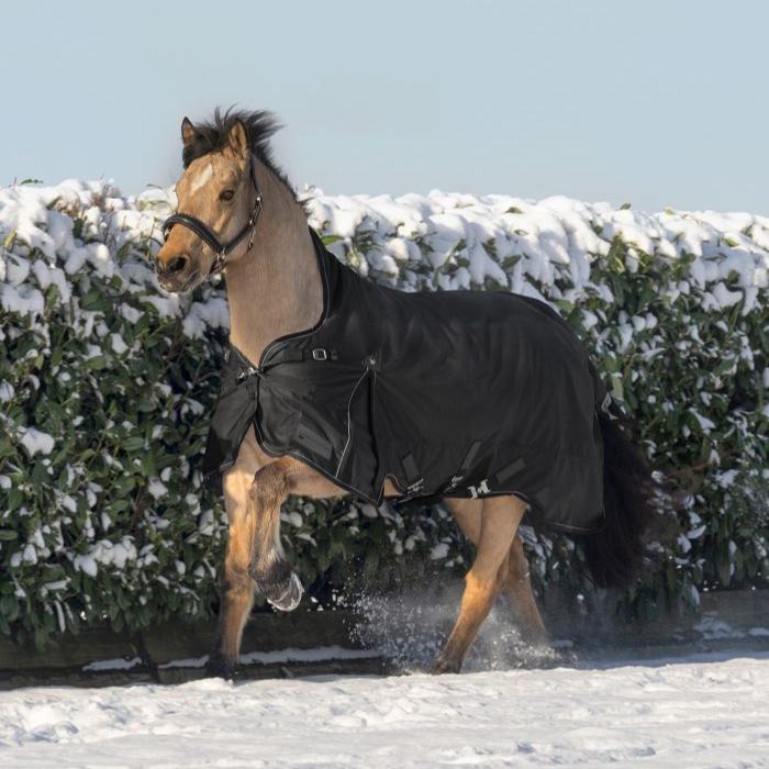 Waldhausen Scandic High Neck 200g Turnout Rug #colour_black