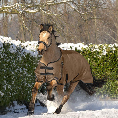 Waldhausen Arctic 300g Turnout Rug #colour_cappuccino-black