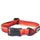 Mountain Paws Waterproof Dog Collar #colour_orange