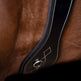 HV Polo Legacy Dressage Girth #colour_black