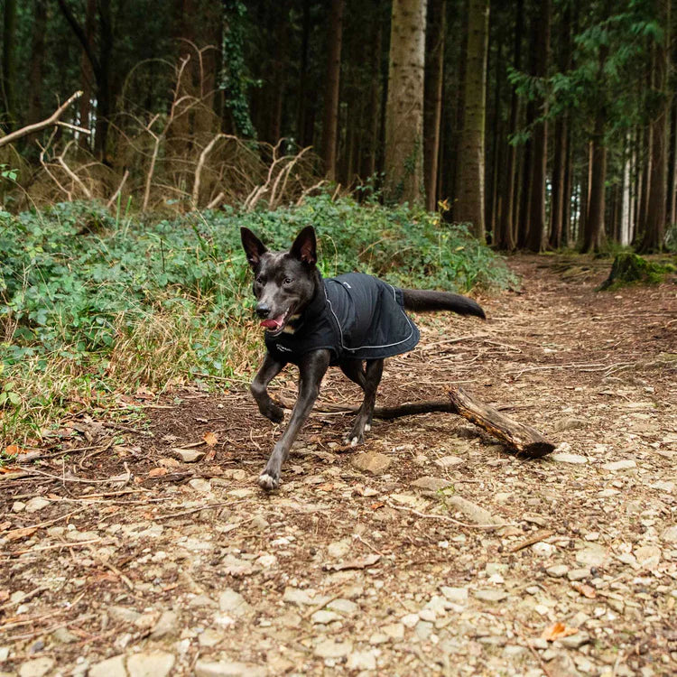 Mountain Paws Fleece Lined Dog Raincoat #colour_black