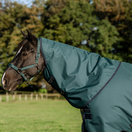 Horseware Ireland Amigo Ripstop 900 Plus 100g #colour_dynasty-green-navy-silver