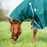 Shires Highlander Original 300g Combo Turnout Rug #colour_green