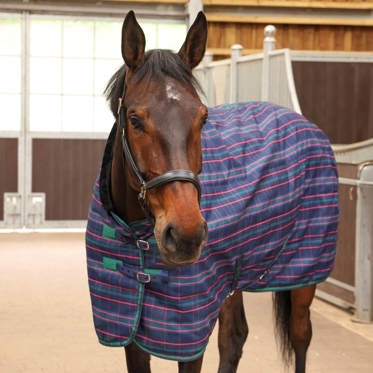 Shires Tempest Plus 100g Stable Rug #colour_navy-tartan