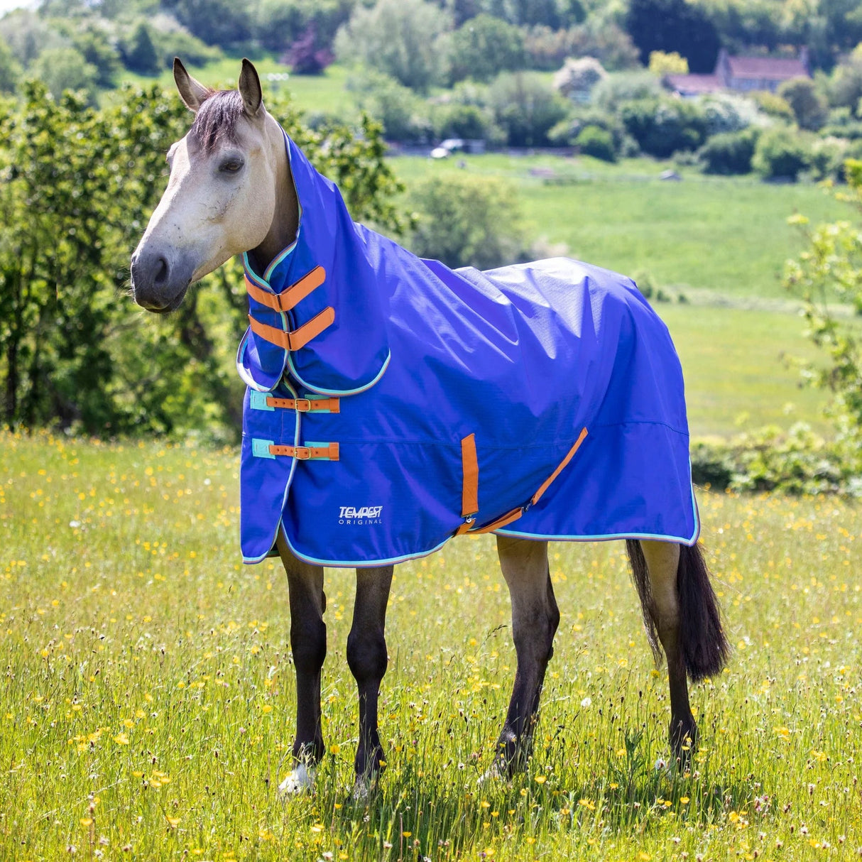 Shires Tempest Original 50g Combo Turnout Rug