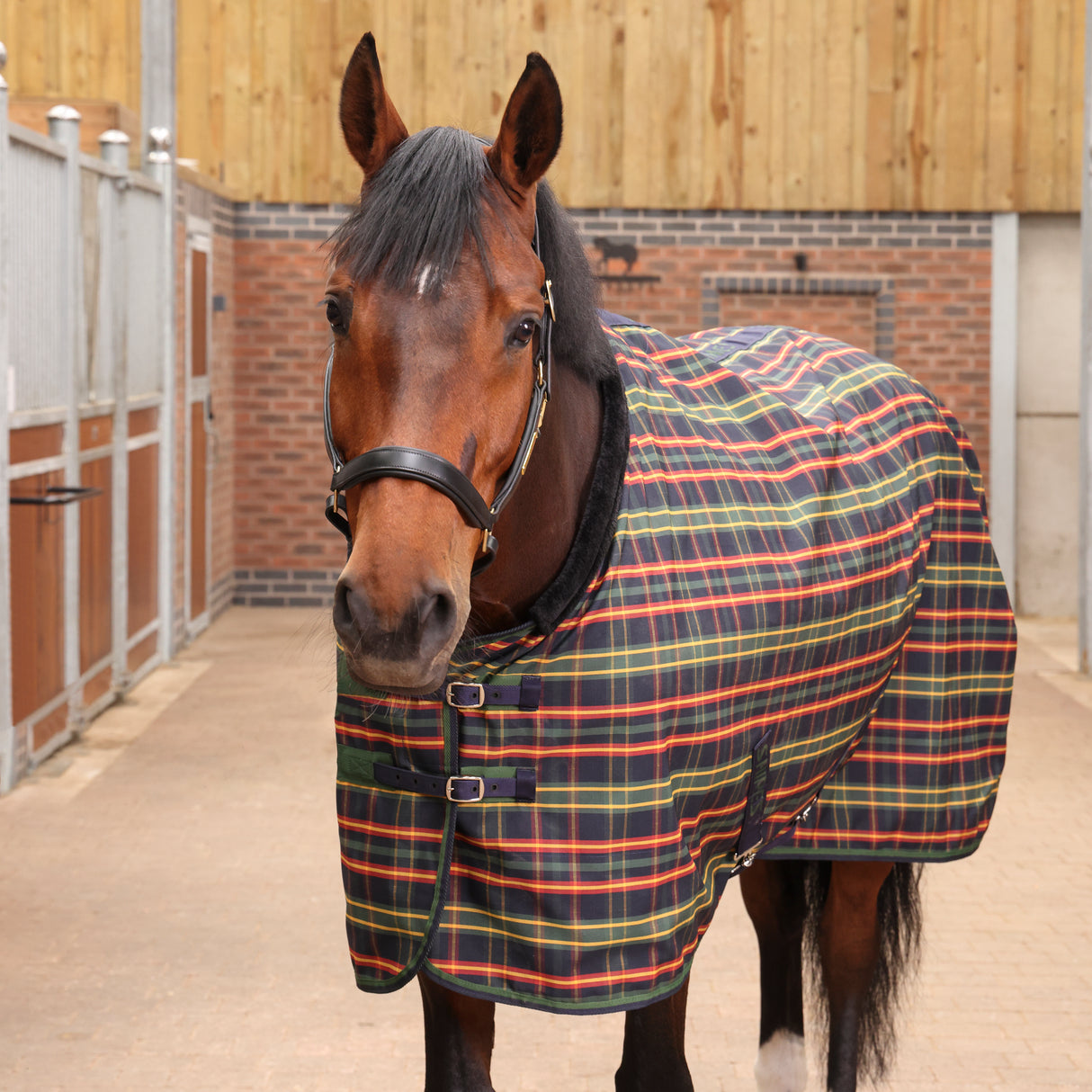 Shires Tempest Plus Lite Stable Rug #colour_green-tartan