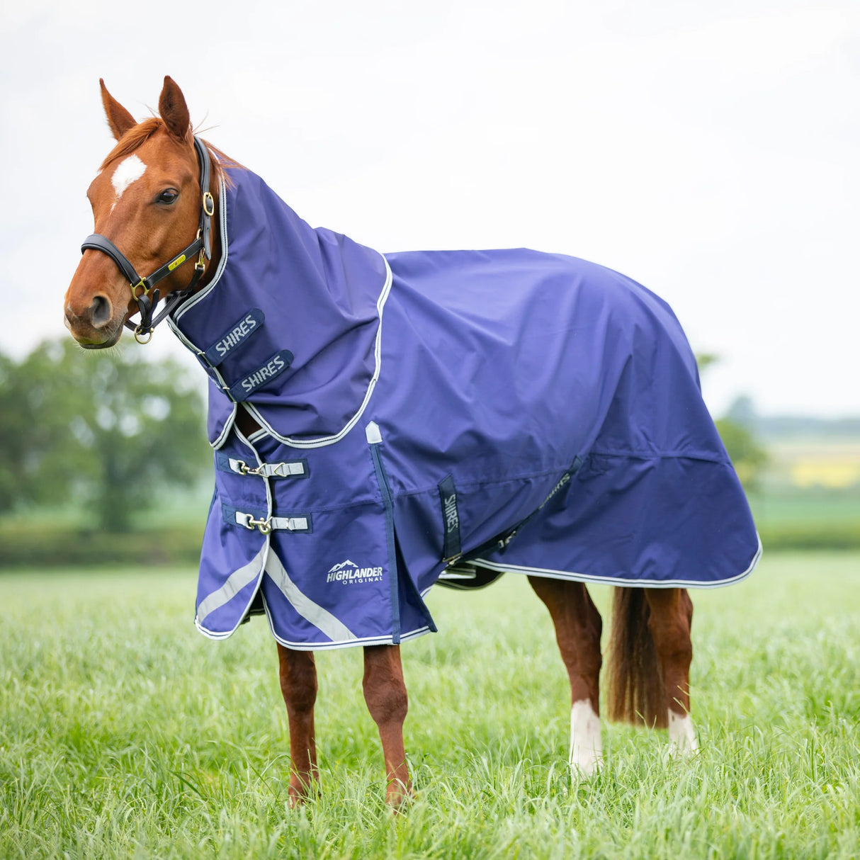 Shires Highlander Original Lite Turnout Rug & Neck #colour_navy