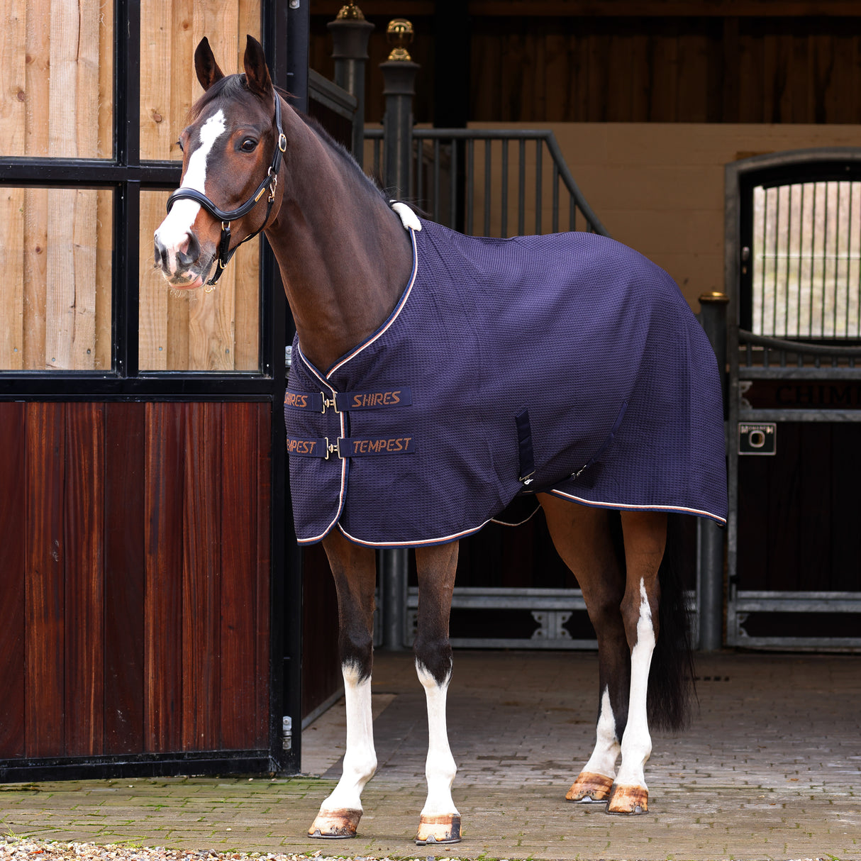 Shires  Tempest Original Waffle Rug #colour_navy