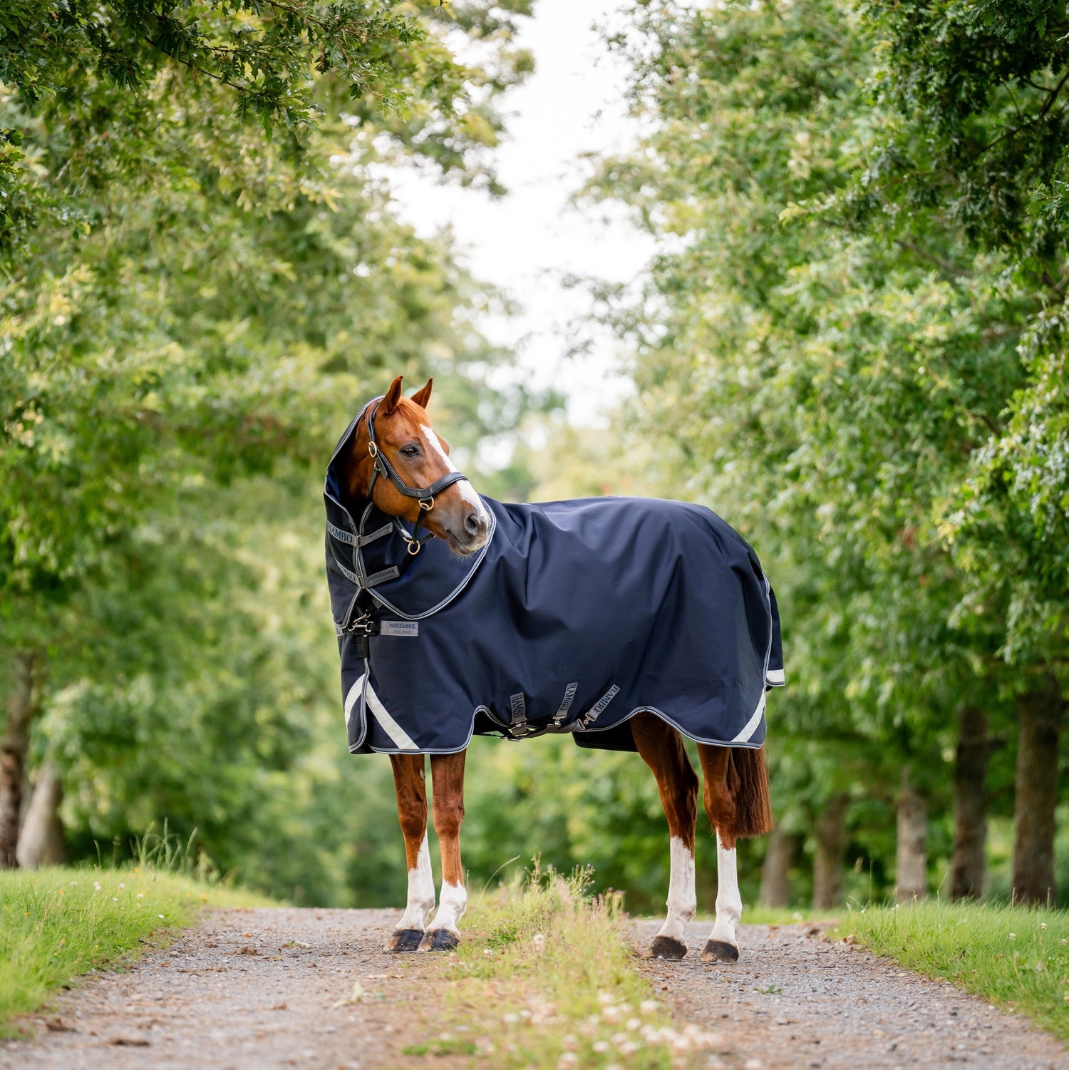 Horseware Ireland Rambo Supreme 1680D Turnout Vari-Layer 450g #colour_navy-thunderstorm-grey-silver