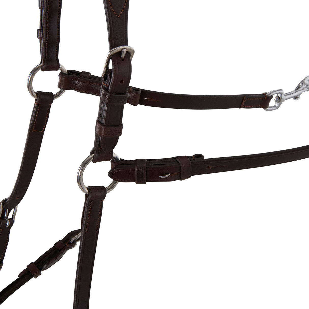 Acavallo Five-Point Breastplate Calfskin #colour_brown