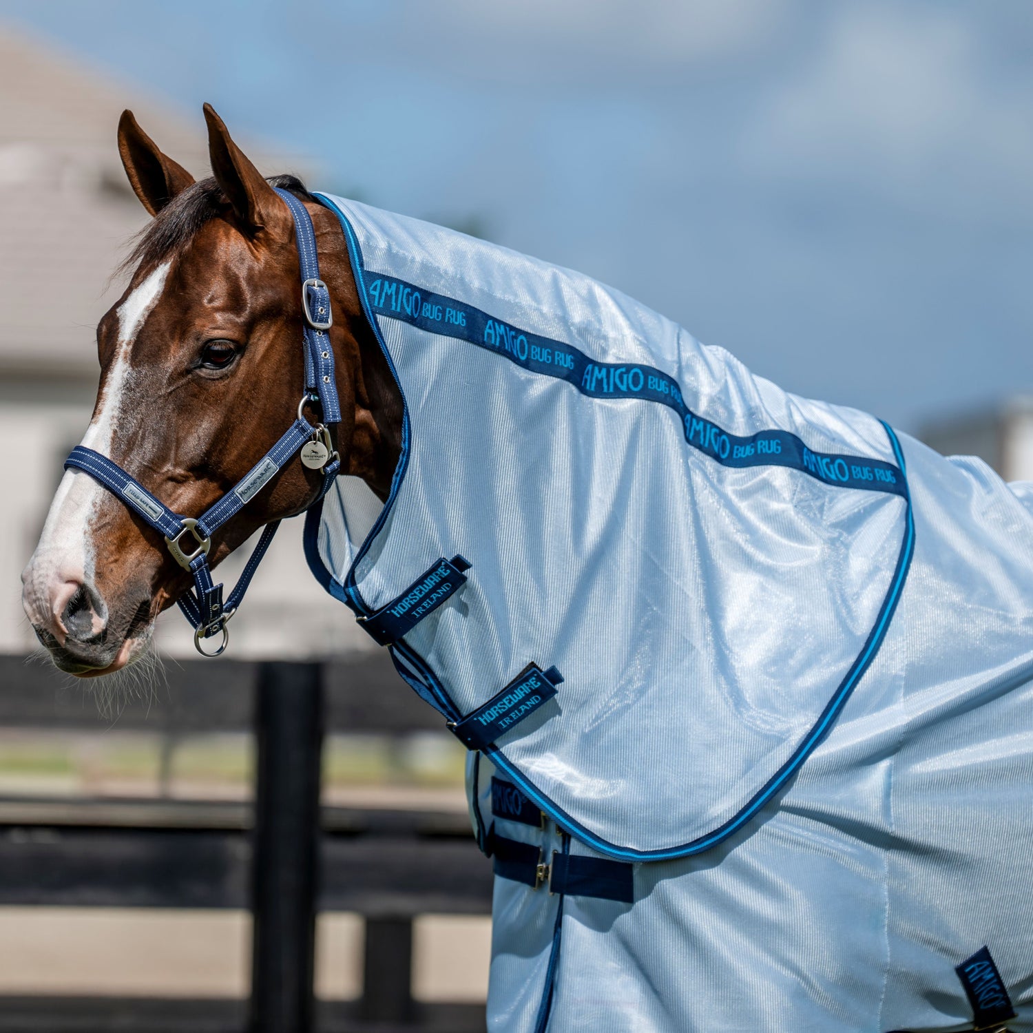 Horseware Ireland Amigo Bug Rug Plus #colour_azure-blue-navy-electric-blue