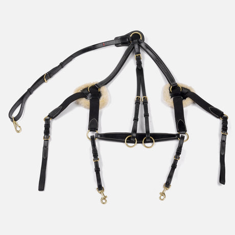 Whitaker Valencia 5 Point Breastplate #colour_black