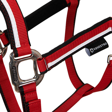 Halter with fleece padding and snap hook