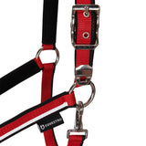Halter with fleece padding and snap hook