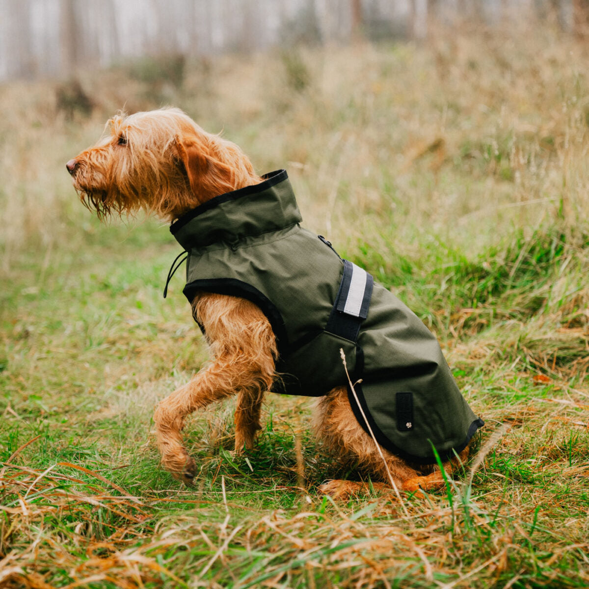 Danish Design 3-In-1 Dog Coat #colour_olive