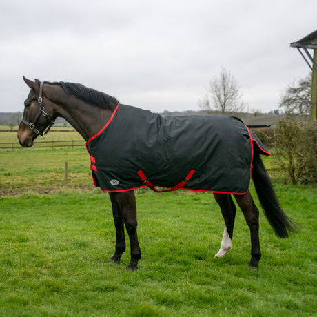GS Equestrian Standard Neck 200g Turnout Rug