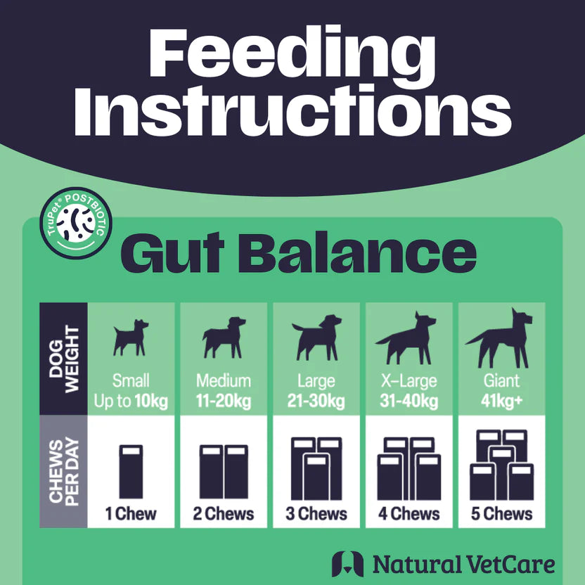 Natural Vet Care Gut Balance for Dogs