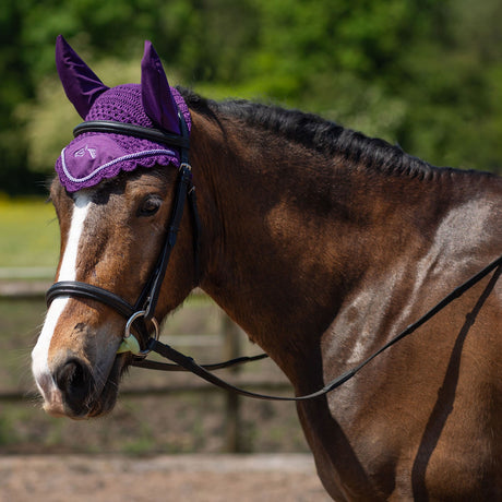 Gallop Classic Fly Veil #colour_purple