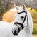 Horseware Ireland Pony Flash Bridle #colour_brown