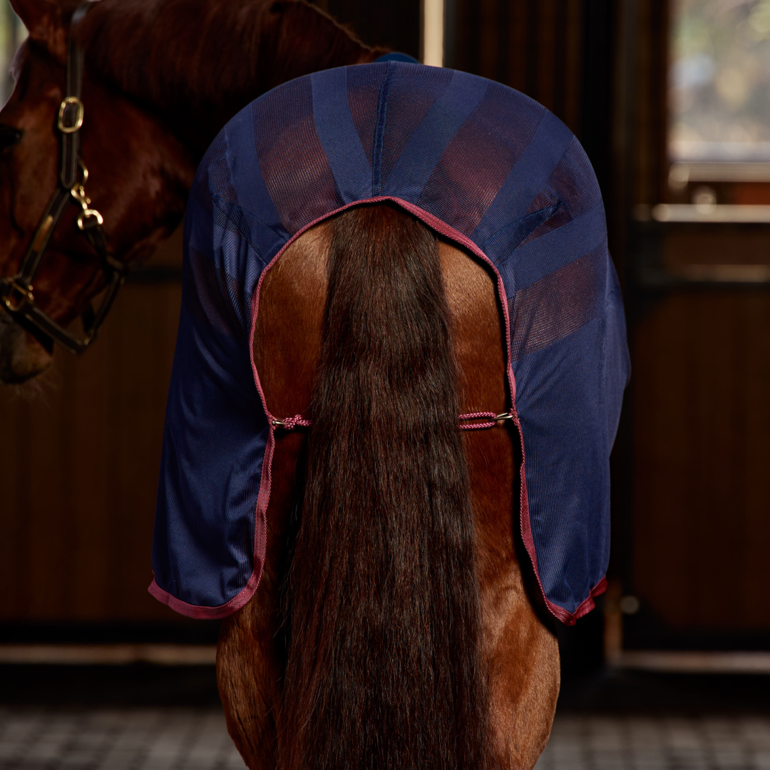 Weatherbeeta Scrim Cooler Standard Neck #colour_navy-burgundy