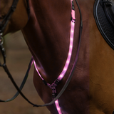 Woof Wear LED Neck Band