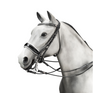 Equipe Charlotte Double Bridle - No Reins #colour_black