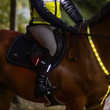 Woof Wear 3-in-1 Rider Safety Lights