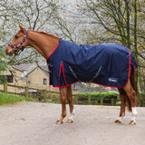 Whitaker Rastrick V2 100g Turnout Rug
