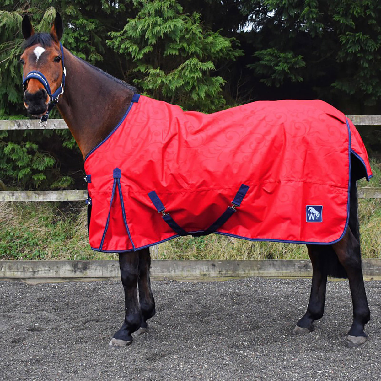 W-Horse 0g Turnout Rug #colour_red-blue