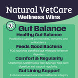 Natural Vet Care Gut Balance for Dogs