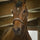 Norton Pro Princesse Leather Halter #colour_havana