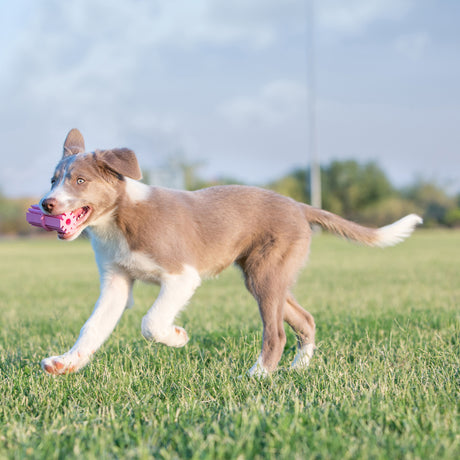 KONG Puppy Teething Stick #size_s