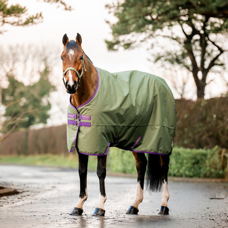 Horseware Ireland Amigo Hero 600D Ripstop Fleece Lined 50g Rug #colour_bramble-winterberry