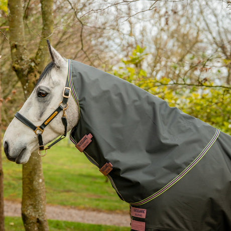 Horseware Ireland Amigo Hero Ripstop Hood 0g #colour_shadow-rose-navy