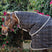 Horseware Ireland Rhino 100g Stable Hood #colour_black-grey-white-check-grey