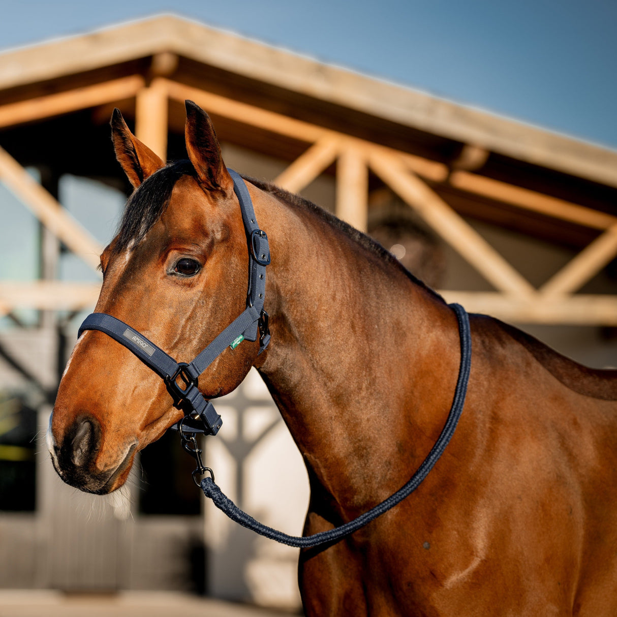 Horseware Ireland Amigo Headcollar & Leadrope Set #colour_navy