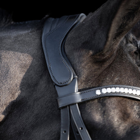 HV Polo Legacy Deluxe Bridle #colour_black