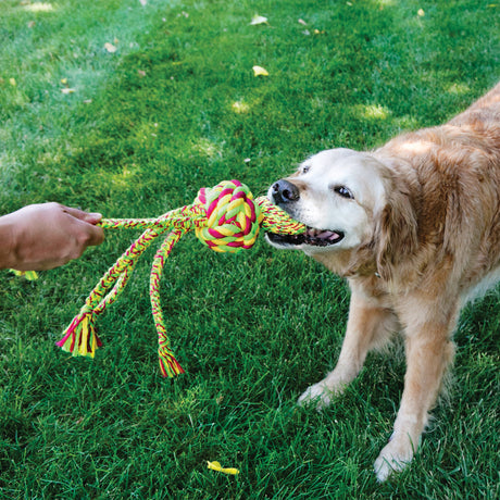 KONG Wubba Weaves with Rope #size_xl