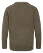 Hoggs of Fife Melrose II Crew Pullover #colour_meadow-green-marl