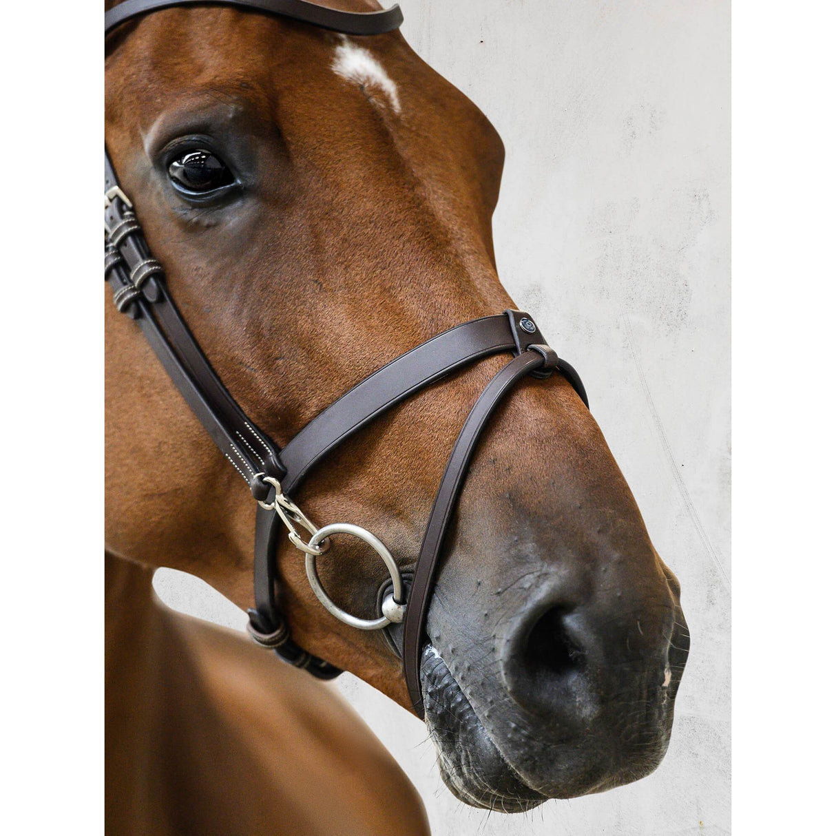 PS of Sweden Brown London Flash Bridle