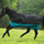 #colour_black-turquoise
