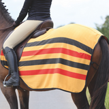 Shires Tempest Original Newmarket Feuille d'exercice en polaire