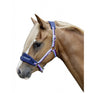 Licol HKM -Chevaux drôles-