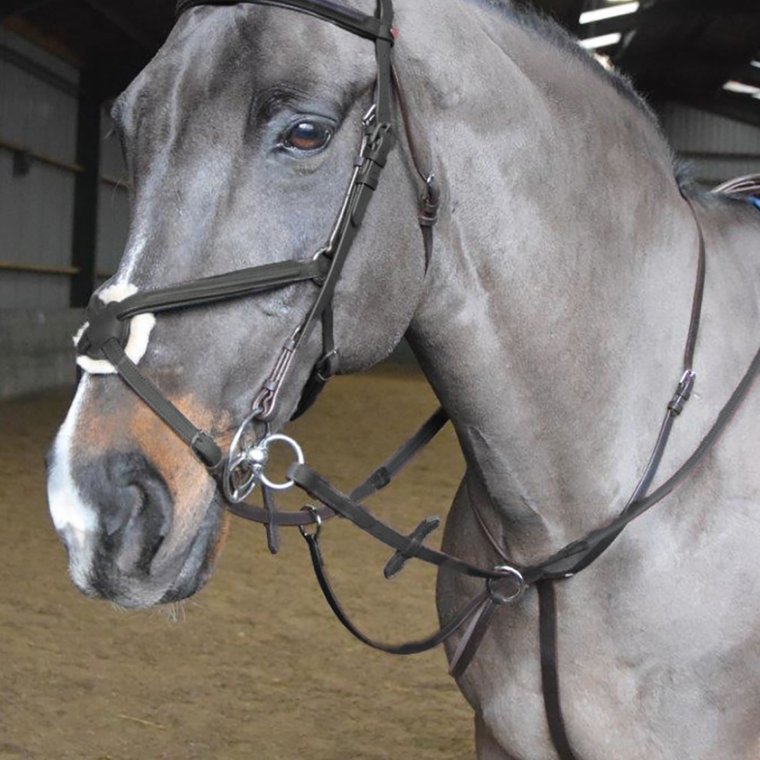 Whitaker Ready To Ride Martingale #colour_black