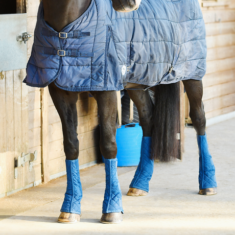 Equilibrium Equi Chaps Stable Chaps #colour_navy